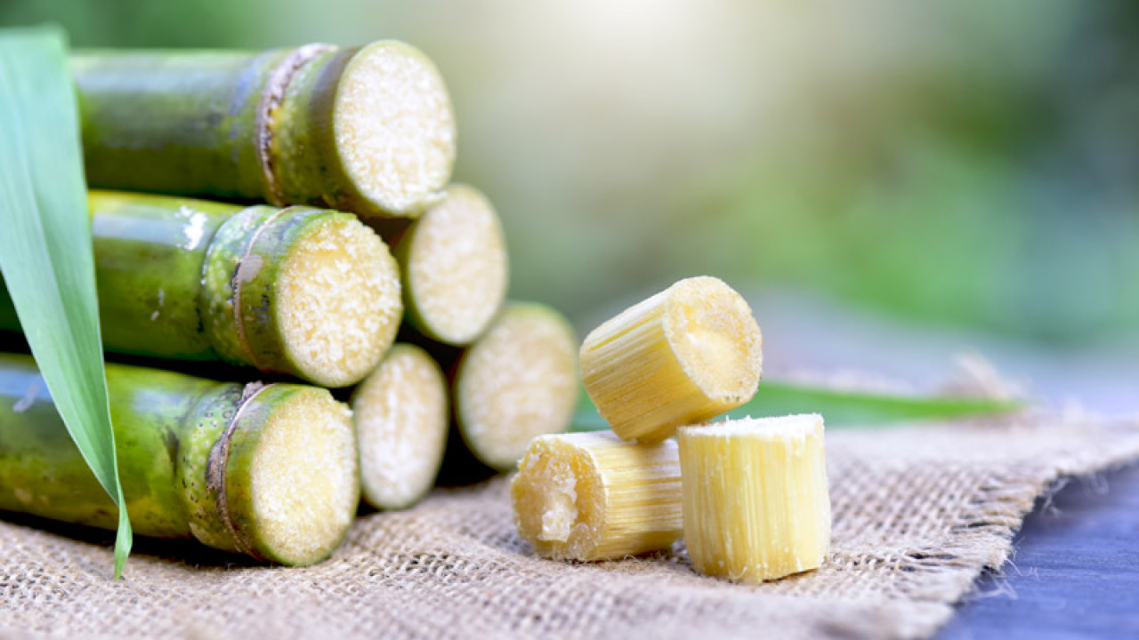 Eco Materials
