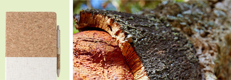 Cork