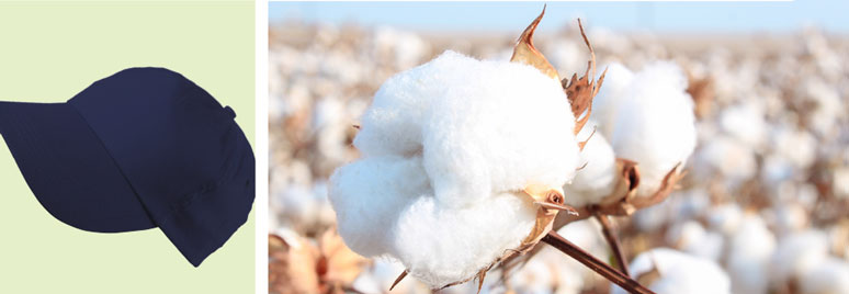 Cotton